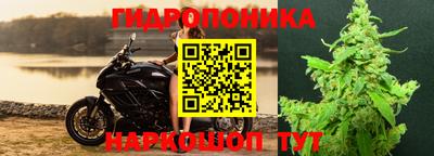 кокс Лесосибирск