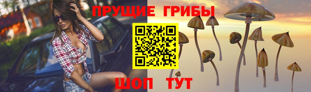 Галлюциногенные грибы MAGIC MUSHROOMS Электросталь